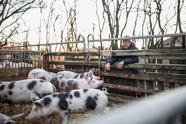Der 67-jährige Bauer Hans Dünninger bewirtschaftet bei Hofheim (Lkr. Haßberge) eine Fläche von gut 75 Hektar und hält etwa 40 Schweine. Der 67-jährige Bauer Hans Dünninger bewirtschaftet bei Hofheim (Lkr. Haßberge) eine Fläche von gut 75 Hektar und hält etwa 40 Schweine.