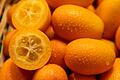 Kumquat (Fortunella)       -  Kleine Frucht, großer Geschmack: Kumquats sind nur pflaumengroß, vereinen in sich aber süße und saure Aromen.