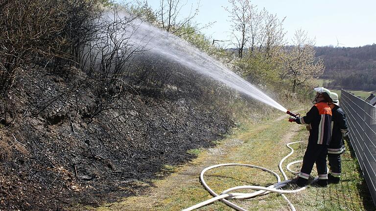 Eine brennende Hecke auf dieser Böschung bei Aschfeld sorgte am Freitagmittag für einen Feuerwehreinsatz von vier Wehren, die eine Ausbreitung des Feuers schnell verhindern konnten.