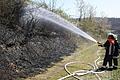 Eine brennende Hecke auf dieser Böschung bei Aschfeld sorgte am Freitagmittag für einen Feuerwehreinsatz von vier Wehren, die eine Ausbreitung des Feuers schnell verhindern konnten.