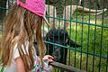 Nach einer siebenmonatigen pandemiebedingten Schließung wird der Wildpark ab 8. Juni wieder geöffnet.
