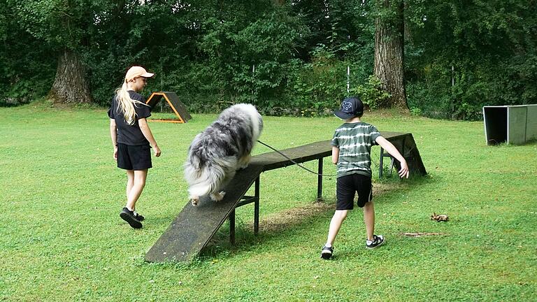 Besonders begeistert waren die Mädchen und Jungen von den Hindernisparcours. Unter der Aufsicht von Mitgliedern des AHV meisterten die Kinder diese gemeinsam mit den verschiedenen Hunden.