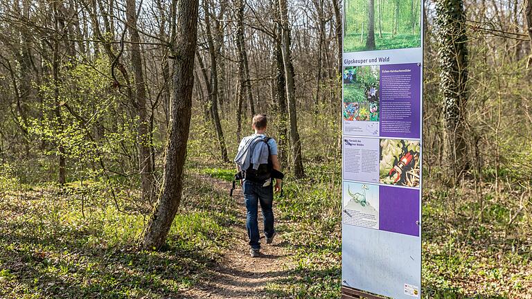 Gerade jetzt im Frühling ist die Passage durch den Wald mit einer der schönsten auf der Strecke. Das liegt unter an den großen Bärlauch-Flächen, die mit ihrem Knoblauchduft den ganzen Wald betören. Gerade jetzt im Frühling ist die Passage durch den Wald mit einer der schönsten auf der Strecke. Das liegt unter an den großen Bärlauch-Flächen, die mit ihrem Knoblauchduft den ganzen Wald betören.