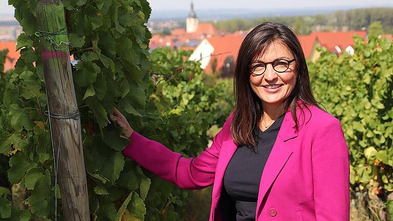 Barbara Becker bewirbt sich bei der Landtagswahl für die CSU um das Direktmandat im Stimmkreis Kitzingen. In ihrem Heimatort Wiesenbronn hat sie eigene Rebstöcke am Geisberg. Barbara Becker bewirbt sich bei der Landtagswahl für die CSU um das Direktmandat im Stimmkreis Kitzingen. In ihrem Heimatort Wiesenbronn hat sie eigene Rebstöcke am Geisberg.