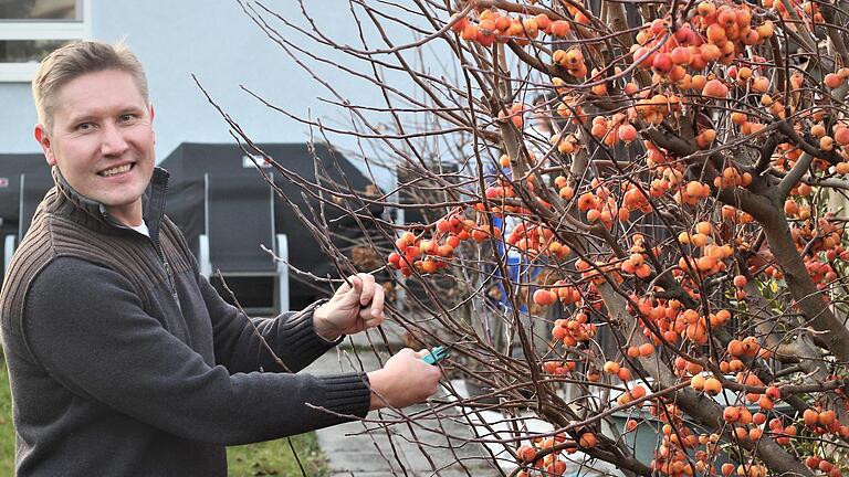 Alte Zweige abschneiden: Zur Abwechslung darf es bei Klaus Köhler auch mal Gartenarbeit sein. Der Wiesentheider ist Kandidat des Bürgerblocks für die Wahl zum Bürgermeister. Alte Zweige abschneiden: Zur Abwechslung darf es bei Klaus Köhler auch mal Gartenarbeit sein. Der Wiesentheider ist Kandidat des Bürgerblocks für die Wahl zum Bürgermeister.