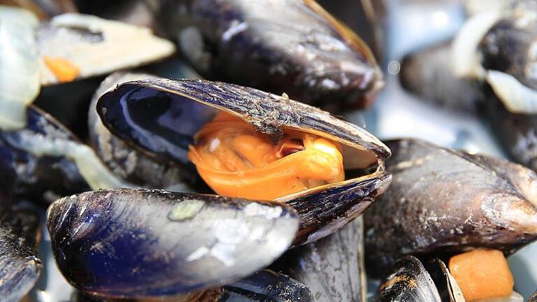 In den Monaten mit einem «r» im Namen haben Muscheln Saison. Foto: Christian Charisius       -  Miesmuscheln enthalten viel Vitamin B12. Ein Lebensmittel-Überblick.
