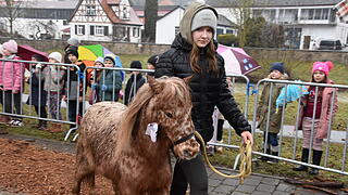 Einen Tag lang drehte sich beim 103. Creglinger Pferdemarkt alles um die stolzen Vierbeiner.