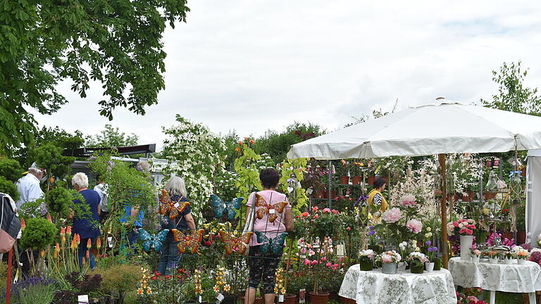 Die 'Gartenträume' in Traustadt wurden am vergangenen Wochenende zum 20. Mal auf dem Gelände der alten Schlossscheune der Familie Wehner durchgeführt. Viele Besucher kamen, um sich Anregungen zu holen.