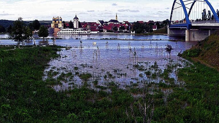 Land unter: Vor allem an der Mainschleife hat der Main für erhebliche Überschwemmungen gesorgt, viele Straße waren am Wochenende gesperrt.