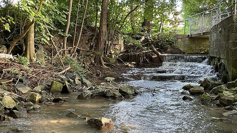 Die Volkach in der Nähe des Großparkplatzes an der Berliner Straße: Weil es keinen größeren Fluss in Gerolzhofen gibt, scheiterten die AKW-Pläne. Die Volkach in der Nähe des Großparkplatzes an der Berliner Straße: Weil es keinen größeren Fluss in Gerolzhofen gibt, scheiterten die AKW-Pläne.