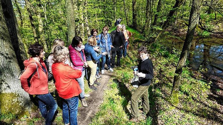 Um auch ihre Schüler für die Natur begeistern zu können, nahmen einige Lehrer aus dem Landkreis an einer Wanderung durch das Naturwaldreservat &bdquo;Ruine Speckfeld&ldquo; bei Markt Einersheim teil.