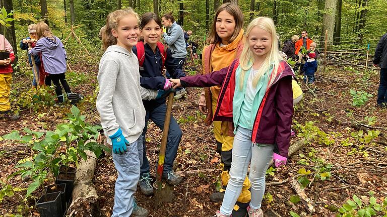 Die ehemaligen Schülerinnen Raija, Ella, Emma und Theresa (von links) der Grundschule Reichenberg buddeln mit einem Hohlspaten ein Loch für einen Walnußbaum-Setzling. Die ehemaligen Schülerinnen Raija, Ella, Emma und Theresa (von links) der Grundschule Reichenberg buddeln mit einem Hohlspaten ein Loch für einen Walnußbaum-Setzling.