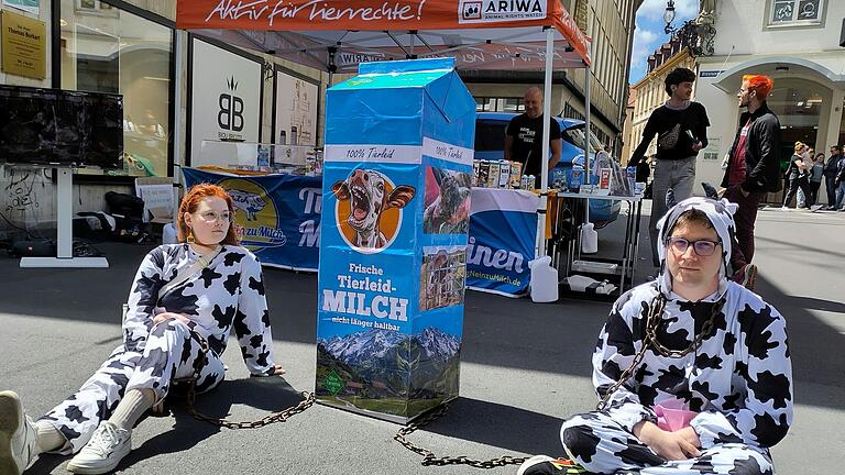 Tierrechtsaktive protestieren gegen die besonders grausame Form der Anbindehaltung in der Milchindustrie in Würzburg. Tierrechtsaktive protestieren gegen die besonders grausame Form der Anbindehaltung in der Milchindustrie in Würzburg.