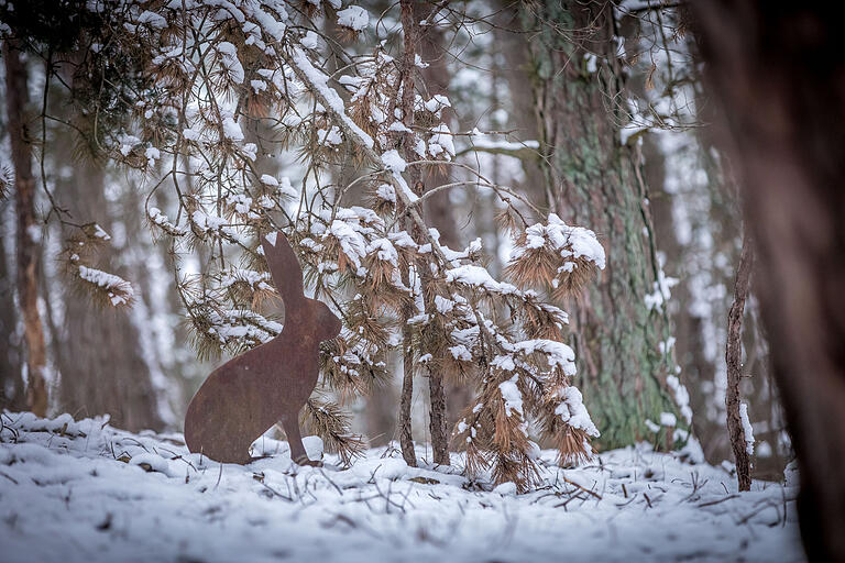 Der Pirschpfad am Volkenberg lädt dazu ein, seine Sinne zu schärfen. Der Pirschpfad am Volkenberg lädt dazu ein, seine Sinne zu schärfen.