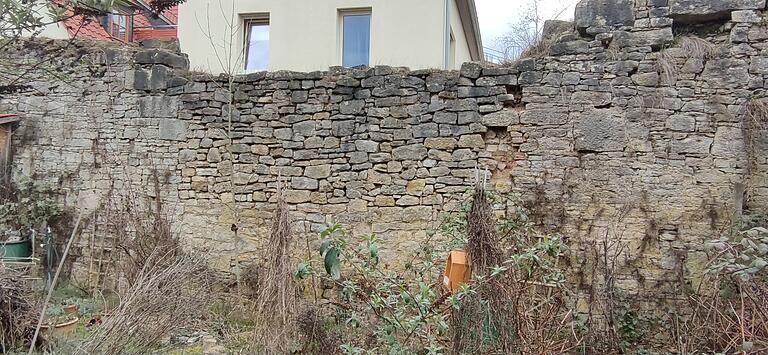 Der Sanierungsbedarf ist offensichtlich, doch für den letzten Abschnitt schadhafter Stadtmauer, zwischen Maintor und Rumorknecht-Turm, ist derzeit kein Geld vorhanden. Der Sanierungsbedarf ist offensichtlich, doch für den letzten Abschnitt schadhafter Stadtmauer, zwischen Maintor und Rumorknecht-Turm, ist derzeit kein Geld vorhanden.