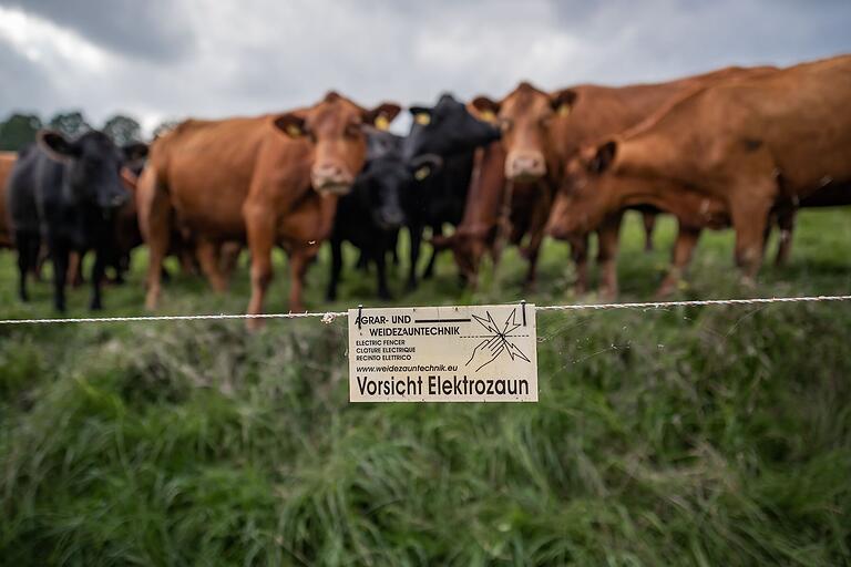 Einen weniger starken Elektrozaun hatten die Blums schon; gegen das Eindringen von Wölfen mussten stärkere Stahldrahtstreben her.