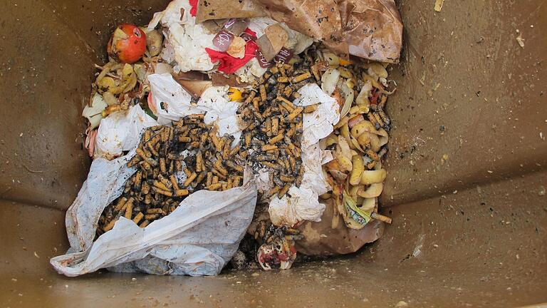 Gehört auch nicht in die Biotonne: der ausgeleerte Aschenbecher. Gehört auch nicht in die Biotonne: der ausgeleerte Aschenbecher.
