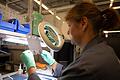 Sunfire Dresden       -  GreenTech-Start-ups ziehen Investitionen an.