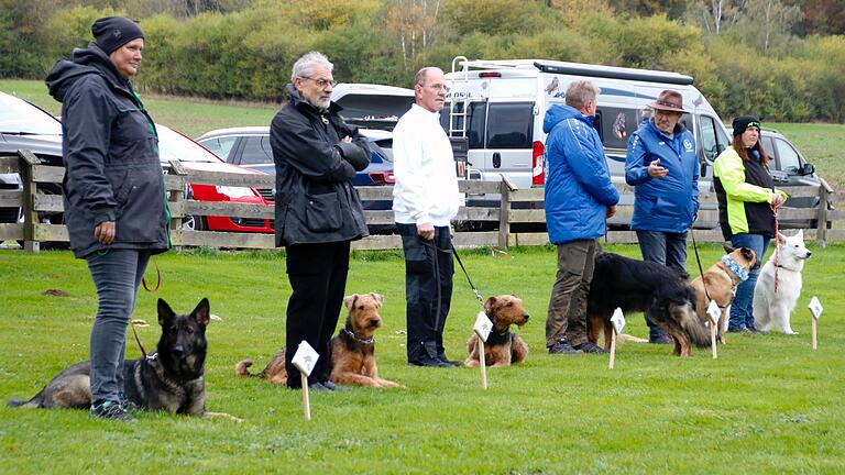 Bayerische Meisterschaft der Fährtenhunde in Bad Kissingen - Bayerische Meisterschaft der Fährtenhunde in Bad Kissingen. Bayerische Meisterschaft der Fährtenhunde in Bad Kissingen - Bayerische Meisterschaft der Fährtenhunde in Bad Kissingen.