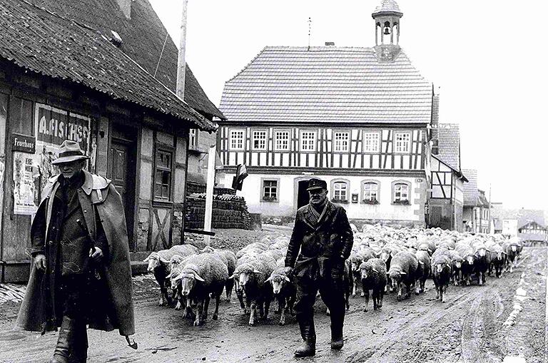 Der Gemeindeschäfer Konrad Reinfelder in Holzhausen trieb 1956 mit seinem Vater die Schafe der Bauern zur Weide. Der Gemeindeschäfer Konrad Reinfelder in Holzhausen trieb 1956 mit seinem Vater die Schafe der Bauern zur Weide.
