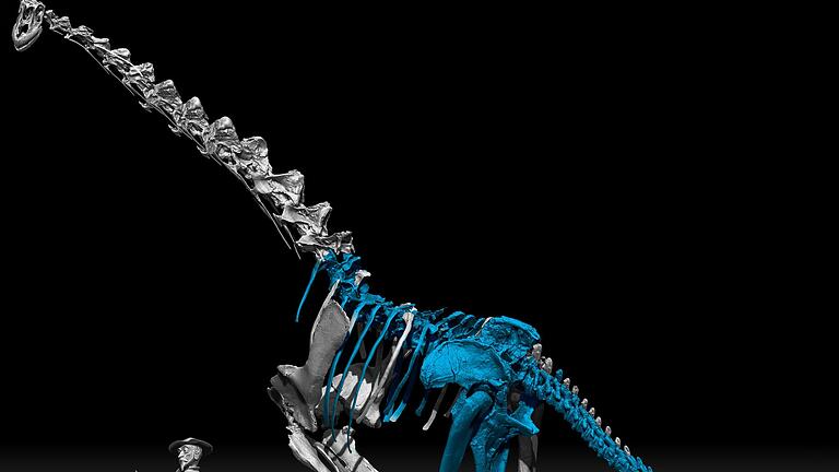 Neuer Langhals-Dinosaurier in Spanien entdeckt       -  Die Romanfiguren Don Quichotte und sein Gehilfe Sancho Pansa sind in dieser Illustration neben dem neu entdeckten Dinosaurier zu sehen.