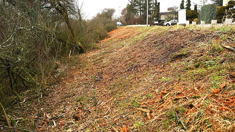 An der Johann-Langhans-Straße sorgen Gehölzarbeiten für Ärger, die eine Firma im Auftrag der Stadt Zeil durchgeführt hat.