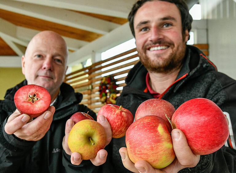 Obstbauberater Thomas Riehl (links) und Obstbauer Christoph Göbel zeigen neue Apfelsorten mit rotem Fruchtfleisch und für Allergiker. Obstbauberater Thomas Riehl (links) und Obstbauer Christoph Göbel zeigen neue Apfelsorten mit rotem Fruchtfleisch und für Allergiker.