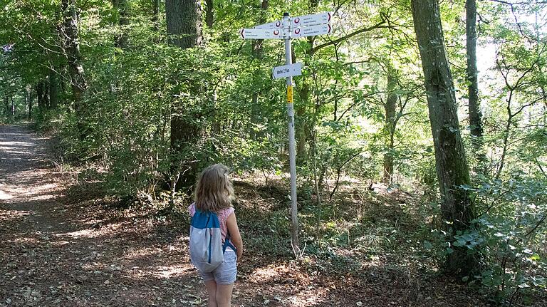 Schattig und nicht zu lang: eine Wanderung zum Birkensee am Schwanberg. Schattig und nicht zu lang: eine Wanderung zum Birkensee am Schwanberg.