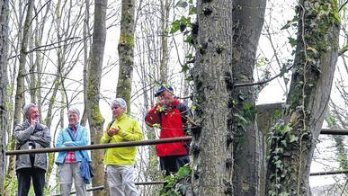 Pflanzenvielfalt: Michael Maier (Dritter von links), Natur- und Landschaftsführer im Naturpark Spessart, erklärte bei einer Wanderung durch die Klingelbachschlucht Triefenstein die Vielfalt der Pflanzenwelt im Frühling. Pflanzenvielfalt: Michael Maier (Dritter von links), Natur- und Landschaftsführer im Naturpark Spessart, erklärte bei einer Wanderung durch die Klingelbachschlucht Triefenstein die Vielfalt der Pflanzenwelt im Frühling.