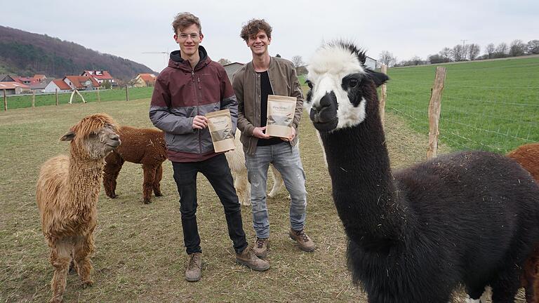 Marc-André und Florian Janz haben nicht nur ihre Alpaka-Herde in Ginolfs vergrößert, sie verkaufen jetzt auch Alpaka-Dünger. Marc-André und Florian Janz haben nicht nur ihre Alpaka-Herde in Ginolfs vergrößert, sie verkaufen jetzt auch Alpaka-Dünger.