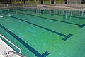 Das Schwimmerbecken im Marktheidenfelder Wonnemar Anfang Dezember: Auf dem Boden des Schwimmerbeckens hat sich ein grüner Film aus Algen gebildet.