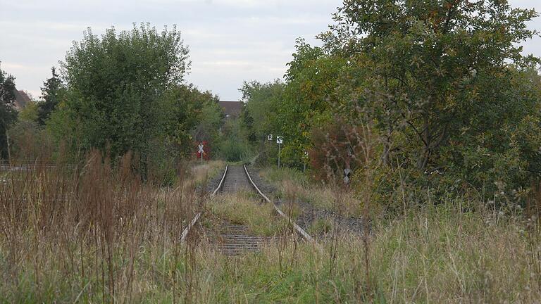 Dornröschen lässt grüßen: Die Bahnstrecke von Gerolzhofen nach Kitzingen bei Kleinlangheim. Dornröschen lässt grüßen: Die Bahnstrecke von Gerolzhofen nach Kitzingen bei Kleinlangheim.