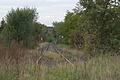 Dornröschen lässt grüßen: Die Bahnstrecke von Gerolzhofen nach Kitzingen bei Kleinlangheim.