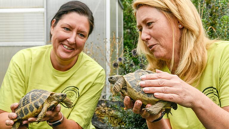 Sandra Malguth (rechts) leitet die Auffangstation für Landschildkröten in Kitzingen-Hoheim und ist Vorsitzende des Trägervereins. Heike Feser unterstützt sie als Zweite Vorsitzende. Die im Jahr 2011 eröffnete Schildkrötenstation erhält für ihre Arbeit im Oktober den Bayerischen Tierschutzpreis. Sandra Malguth (rechts) leitet die Auffangstation für Landschildkröten in Kitzingen-Hoheim und ist Vorsitzende des Trägervereins. Heike Feser unterstützt sie als Zweite Vorsitzende. Die im Jahr 2011 eröffnete Schildkrötenstation erhält für ihre Arbeit im Oktober den Bayerischen Tierschutzpreis.