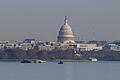 Flugzeugabsturz über US-Hauptstadt Washington       -  Am Morgen nach dem Absturz suchen Helfer nach Überlebenden und Toten in Washington.