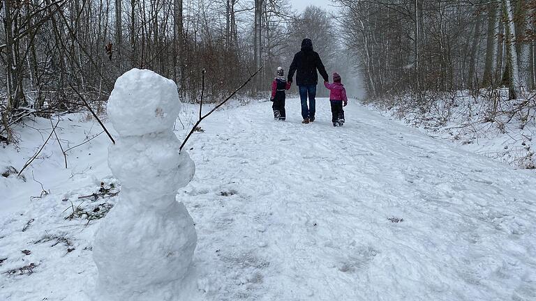 Der Rundweg durch das Naturwaldreservat Wolfsee ist auch bei Schnee ein schönes Ziel für einen Ausflug mit Schlitten.