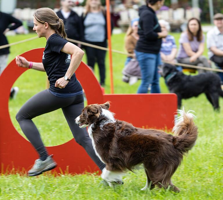In diesem Jahr waren die beliebten Hundedressur-Vorführungen wieder Teil des Programms. In diesem Jahr waren die beliebten Hundedressur-Vorführungen wieder Teil des Programms.