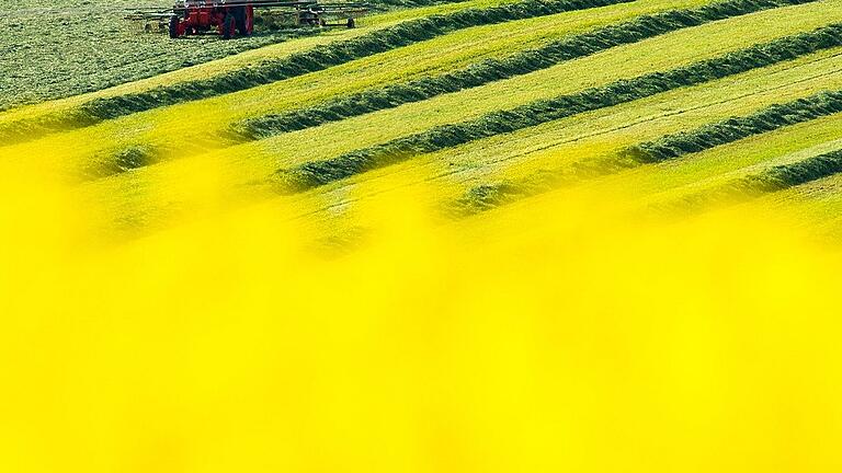 Rapsblüte in Sachsen       -  Brüssel will mehr Flexibilität bei Agrarförderungen.