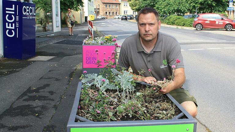 Der Gerolzhöfer Stadtgärtner André Ditterich betrachtet den Schaden an einem der verwüsteten Pflanzkübeln in der Stadt. Der Gerolzhöfer Stadtgärtner André Ditterich betrachtet den Schaden an einem der verwüsteten Pflanzkübeln in der Stadt.