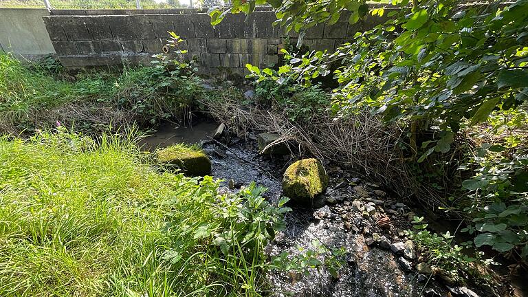 Im Geißwinkelgraben/Kulmbach in Breitbrunn können vor allem kleine Hunde ihre Pfoten abkühlen. Im Geißwinkelgraben/Kulmbach in Breitbrunn können vor allem kleine Hunde ihre Pfoten abkühlen. 