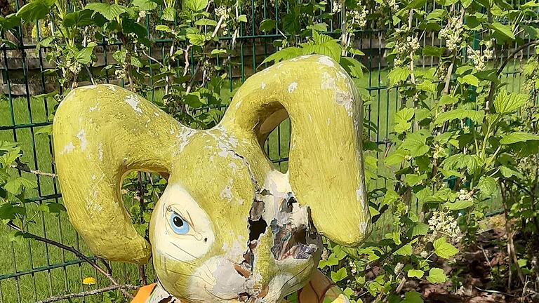 Waschbären-Nachwuchs im Osterhasen       -  Eine Waschbärin hat sich einen Osterhasen als sicheren Ort für ihre Jungen ausgesucht.