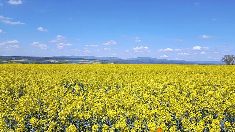 Glyphosat zur Unkrautvertilgung auf landwirtschaftlichen Flächen? Der Rannunger Gemeinderat vertagte die Entscheidung, ob bei Neuverpachtungen gemeindeeigener Äcker ein Verbot in den Pachtvertrag aufgenommen wird, auf die nächste Sitzung. Foto: Dieter Britz       -  Glyphosat zur Unkrautvertilgung auf landwirtschaftlichen Flächen? Der Rannunger Gemeinderat vertagte die Entscheidung, ob bei Neuverpachtungen gemeindeeigener Äcker ein Verbot in den Pachtvertrag aufgenommen wird, auf die nächste Sitzung. Foto: Dieter Britz