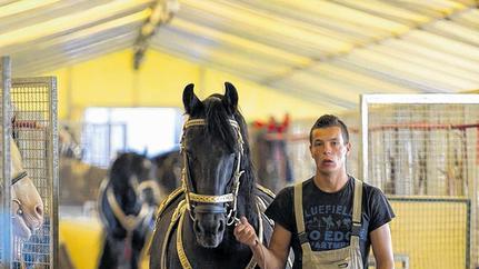 In Richtung Manege: Friese mit Pfleger.