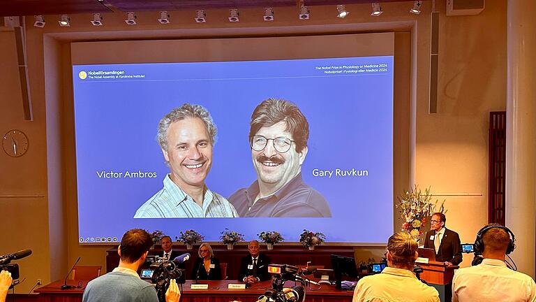 Bekanntgabe Nobelpreis 2024 – Medizin       -  Der Nobelpreis für Medizin geht in diesem Jahr Victor Ambros  (li) und Gary Ruvkun für die Entdeckung der microRNA und ihrer Rolle bei der Genregulierung.