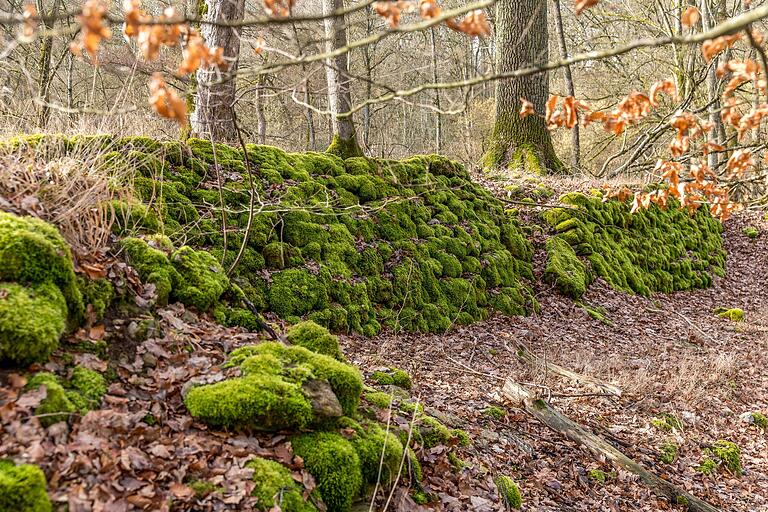 Die Teufelsschmiede war eine Hammerschmiede südwestlich von Aub an der Gollach. Rund um die Schmiede, von der heute lediglich noch ein gemauerter Wall und Reste des Mühlgrabens zeugen, ranken sich bis heute verschiedene Sagen. Die Teufelsschmiede war eine Hammerschmiede südwestlich von Aub an der Gollach. Rund um die Schmiede, von der heute lediglich noch ein gemauerter Wall und Reste des Mühlgrabens zeugen, ranken sich bis heute verschiedene Sagen. 