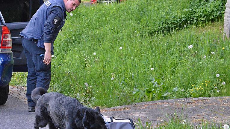 Polizeihauptmeister Dominik Sauer war mit Drogensuchhund Henry beim Einsatz am Parkplatz der Schwedenschanze. Hier wurde Henry beim Schnüffeln an den Koffern und Taschen fündig.       -  Polizeihauptmeister Dominik Sauer war mit Drogensuchhund Henry beim Einsatz am Parkplatz der Schwedenschanze. Hier wurde Henry beim Schnüffeln an den Koffern und Taschen fündig.