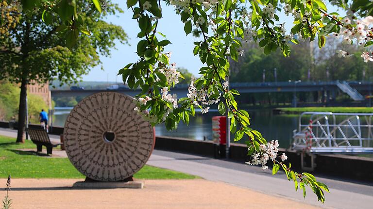 Blick auf die Gutermann-Promenade am Main, die als Korrespondenzprojekt der Landesgartenschau 2026 umgestaltet werden soll.