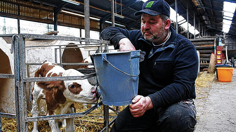 Mehr als nur ein Job: Alfred Greubel ist Milchbauer aus Leidenschaft und verbringt gerne Zeit mit den Tieren, so wie hier beim Tränken.