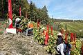 Nachlese zur Lese in Ramsthal. Der Weinberg hat eine besondere Bedeutung im Zusammenhang mit dem Terroir f - Punkt. Andreas Lomb       -  Nachlese zur Lese in Ramsthal. Der Weinberg hat eine besondere Bedeutung im Zusammenhang mit dem Terroir f - Punkt. Andreas Lomb