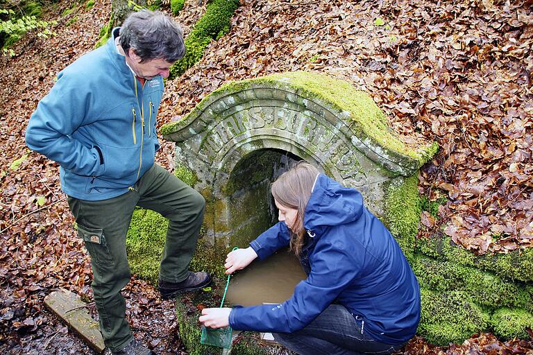 Die Biologin Carolin Dittrich vom Leibnitz-Institut in Berlin ist eine der besten Salamander-Expertinnen. Hier sucht sie mit dem Leiter des Forstbetriebs Ebrach, Ulrich Mergner, am Wotansborn bei Fabrikschleichach nach Larven des Lurchs.